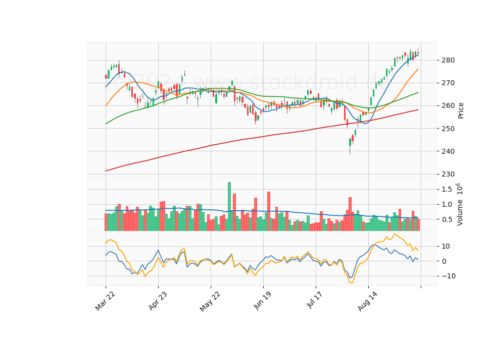 6 Month Candle Stick Diagram