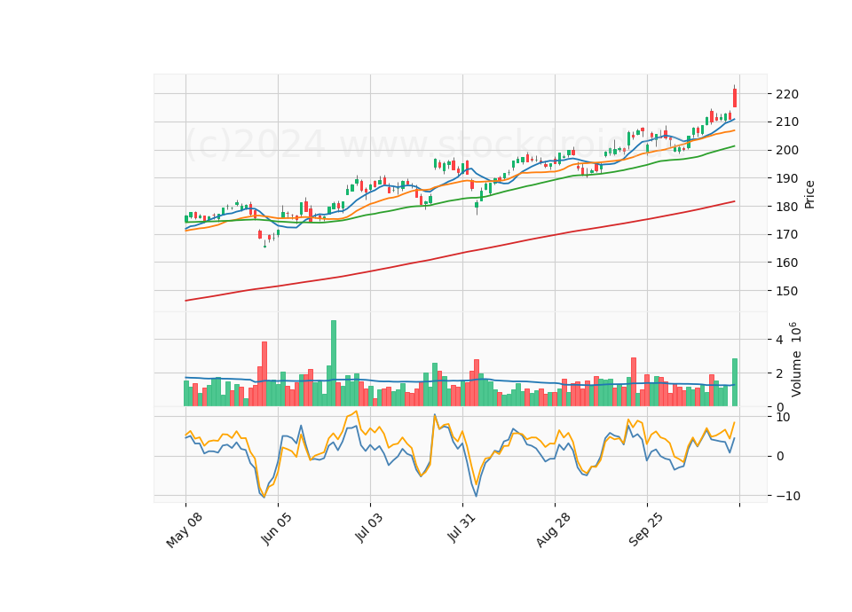 6 Month Candle Stick Diagram